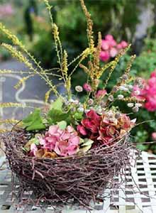 hortenzie-v-zahrade-ukazka