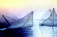 sny_pro_dusi_obalka_final.cdr