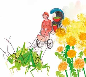 violka-a-fujtisek-ukazka