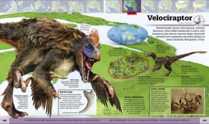 Dinosauri a dalsi praveka zvirata