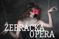 Zebracka opera