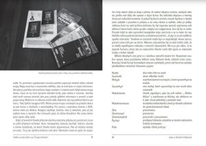 Velka-cesta-kilem-Ukazka