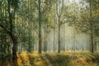 Husek_Laska k prirode