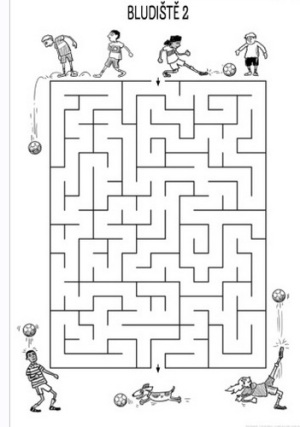 Fotbalova bludiste