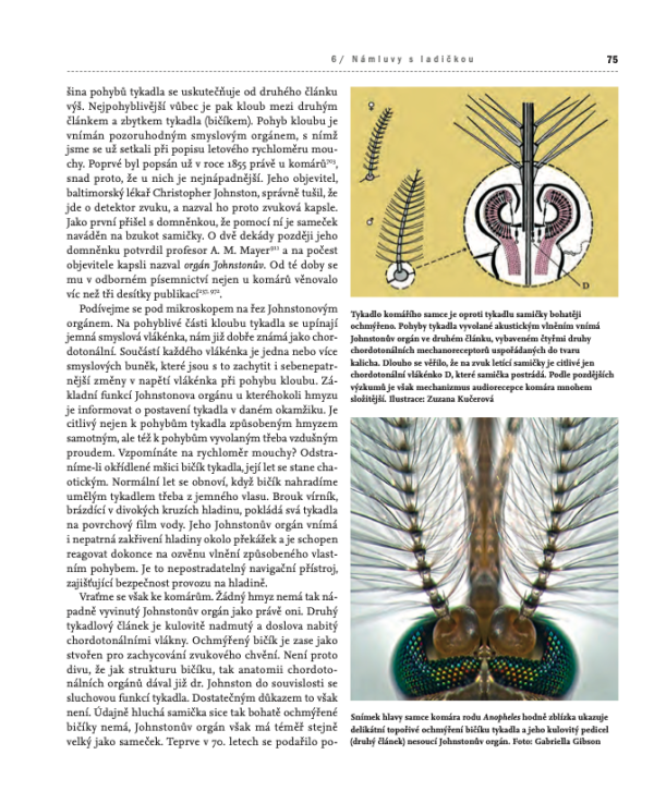 ohrozenihmyzem-ukazka