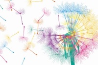 prvni-pomoc-pro-vysoce-citlive