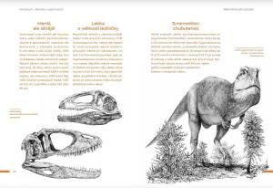 dinosauri-ukazka