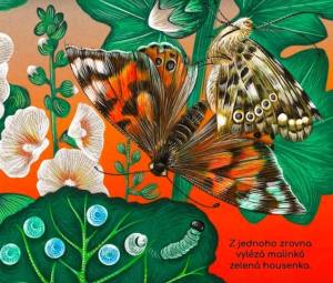 maly_motylek_ukazka