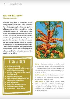 zahrada_bez_zalevani_ukazka