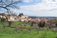 Husek_Tajemny kolega_Prazske jaro