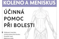 koleno-meniskus-nahled