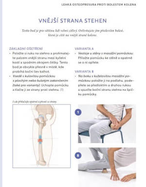 ukazka koleno a meniskus (1)