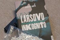 Gris_LarsovoInkognito