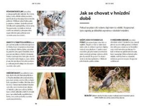 Pozorujeme ptaky_ukazka