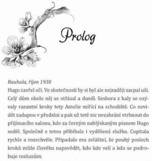 agnes_a_stin_za_oknem_ukazka