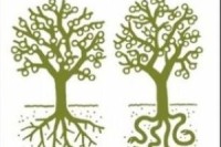 krestanstvi-a-okultni-praktiky-25-otazek-a-odpovedi