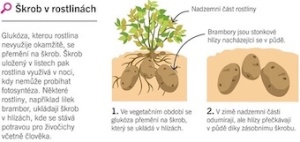 supersnadna_biologie_ukazka