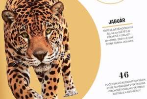 5_minut_a_vim_priroda_ukazka