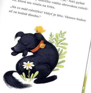 hura_do_psi_skoly_ukazka