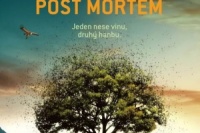 post-mortem-nahled