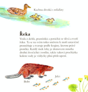 mysak_na_rece_ukazka