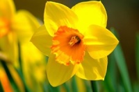 Zupancic_Kdyz vam kamaradky zacnou vypravet sve pribehy