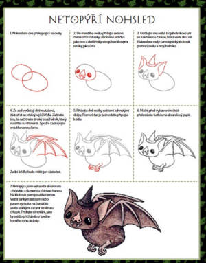 desiva skola kresleni ukazka (1)