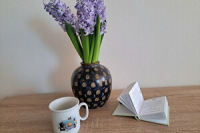 Chejnova_Kazdy pribeh je jedinecny