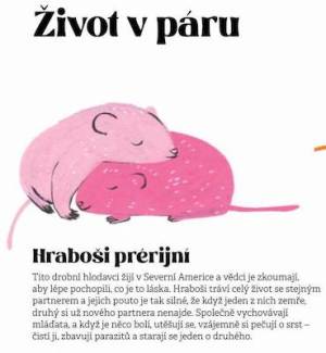 chovas_se_jak_zvire_ukazka