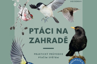 ptaci-na-zahrade-perex