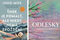 Snek je pomaly_Odlesky