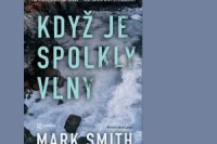 kdyz-je-spolkly-vlvny-nahled