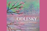 odlesky uvod