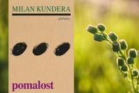 pomalost uvod PR