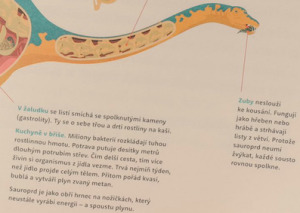 sauroprdi_ukazka