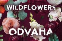 wildflowers-odvaha
