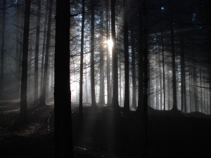 Detektivní záhady