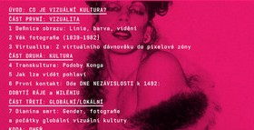 Široká analýza kultury obrazu