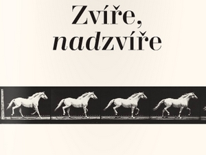 Zasoutěžte si o knihu Zvíře, nadzvíře