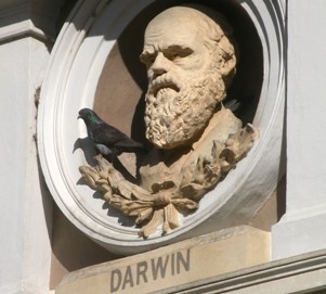Jaký byl život Charlese Darwina? Plný lásek a nemocí…