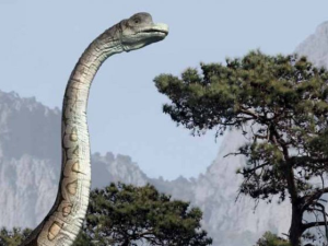 Svět dinosaurů ožívá v publikaci nakladatelství CooBoo