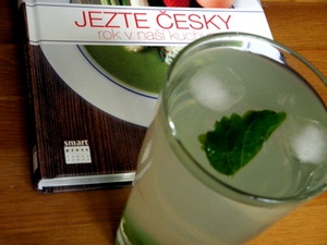 Čtenářská recenze: Jezte česky – rok v naší kuchyni