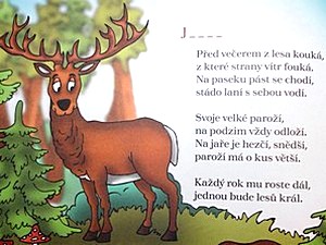Básničky a říkanky pro děti