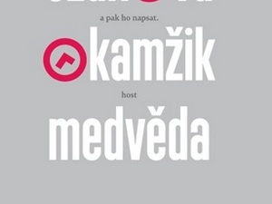 Soubor článků, fejetonů a zamyšlení