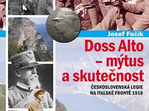 Výzbroj, výcvik a bojeschopnost čs. divize