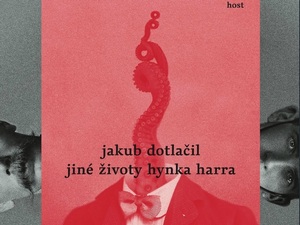 Jiné životy Hynka Harra