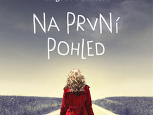 Příběh lásky na první pohled