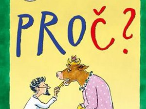 Ukázka z knihy Proč? Zuzany Pospíšilové