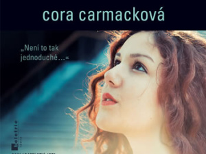 Love story jak od Shakespeara aneb komedie plná zmatků