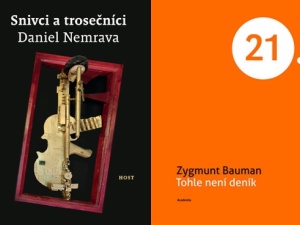 Politika v literatuře